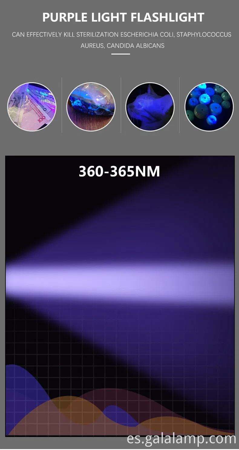 Linterna UV USB portátil para detectar dinero falsificado